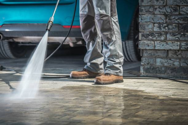Best Animal Enclosure Cleaning  in Milton, LA